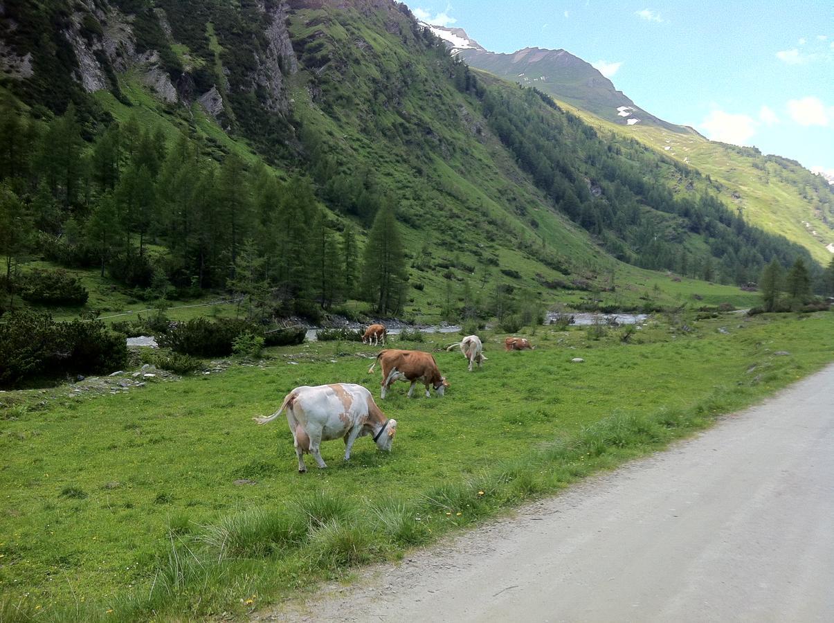 Scol Sporthotel Grossglockner Kals-am Großglockner Zewnętrze zdjęcie